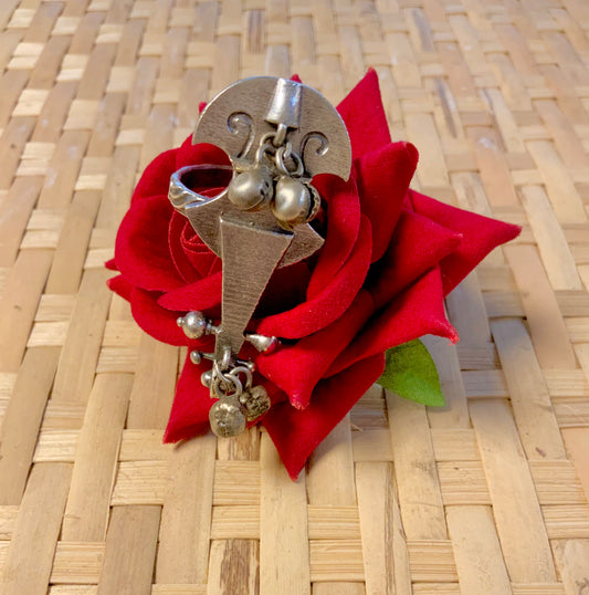 Sitar ring
